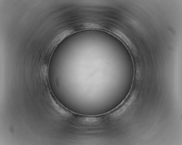 X0000115780849200911131246