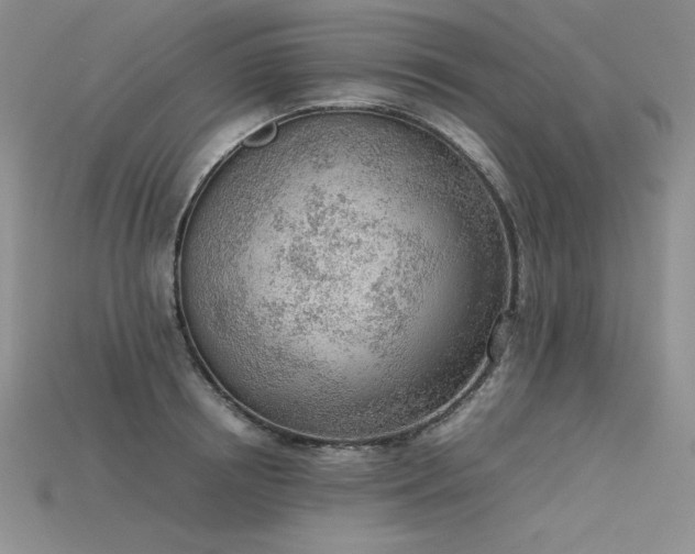 X0000115780850200911131246