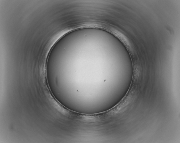 X0000115780852200911131246