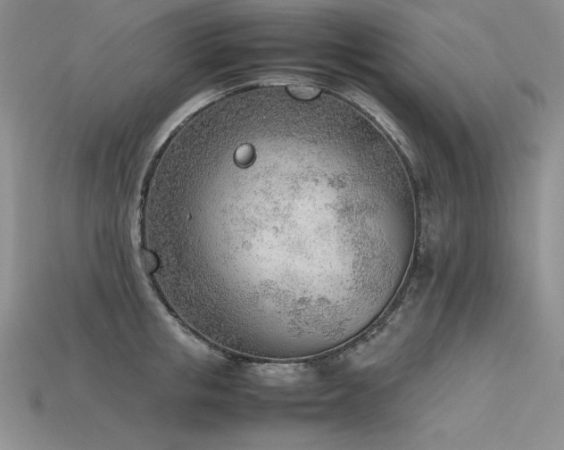 X0000115780853200911131246