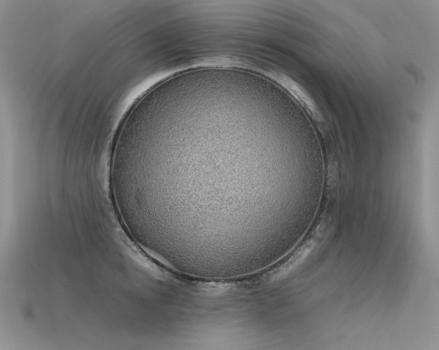X0000115780854200911131246