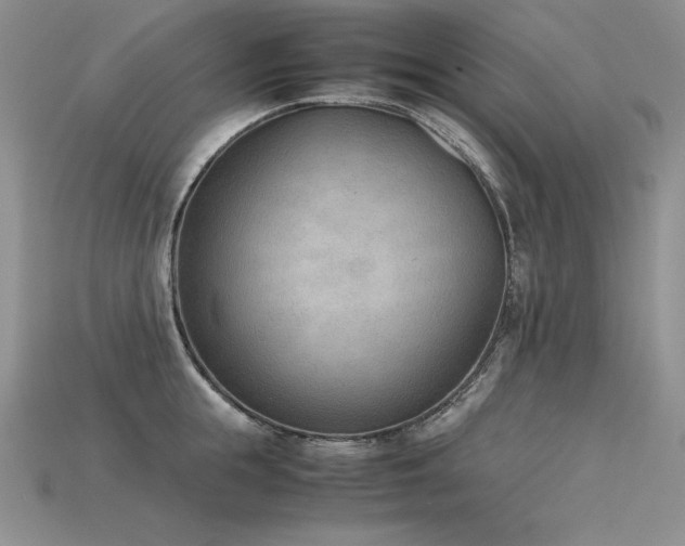 X0000115780855200911131246