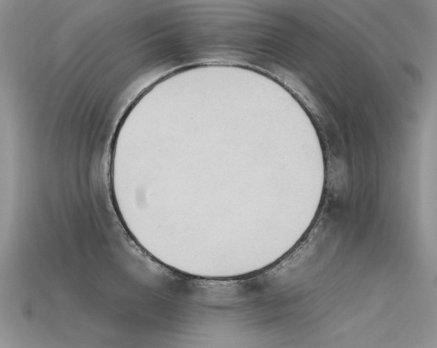X0000115780856200911131246