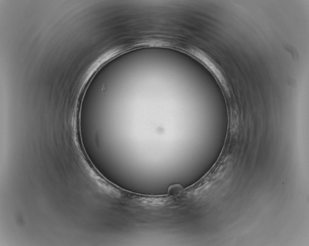 X0000115780861200911131246