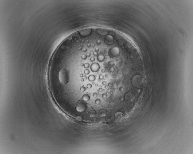 X0000115780863200911131246
