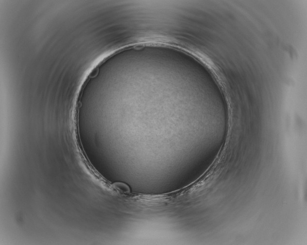 X0000115780864200911131246