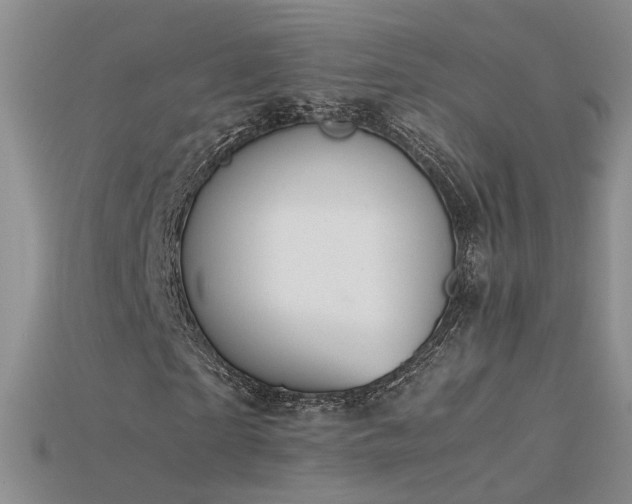 X0000115780865200911131245