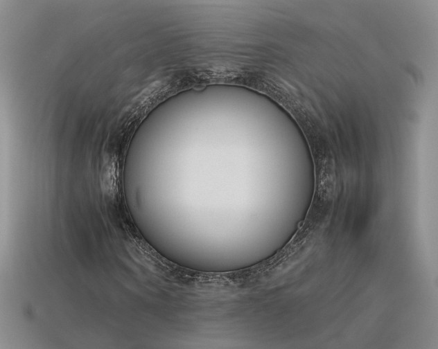 X0000115780866200911131245
