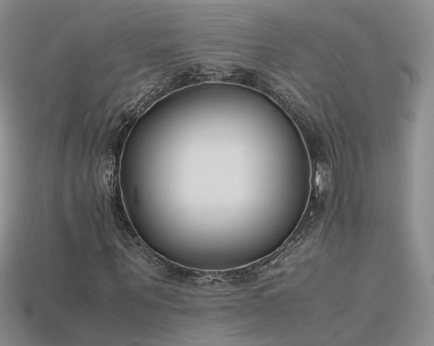 X0000115780867200911131245