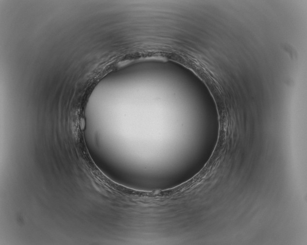 X0000115780868200911131245