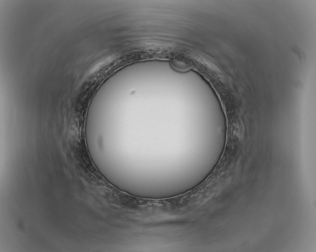 X0000115780869200911131245
