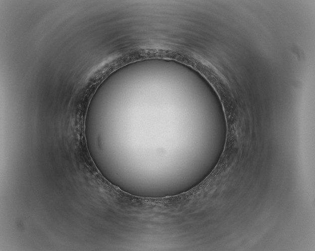 X0000115780870200911131245