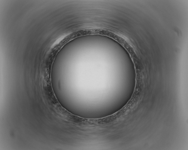 X0000115780871200911131245
