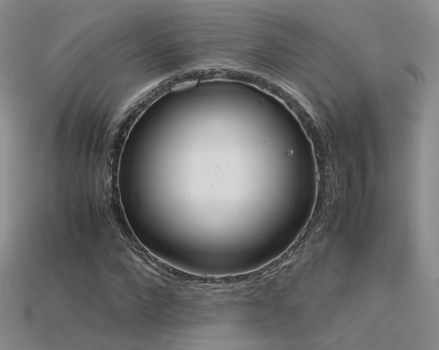 X0000115780872200911131245