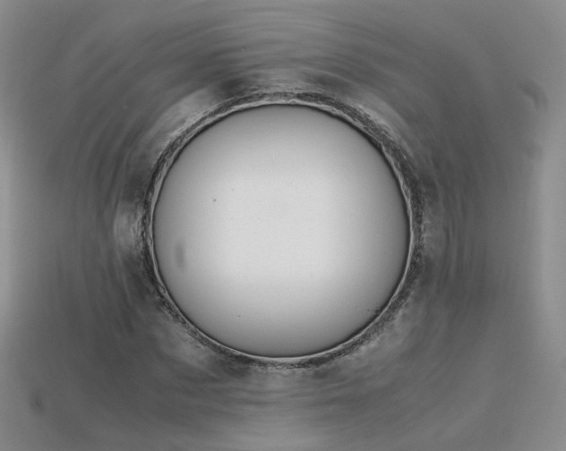 X0000115780873200911131245