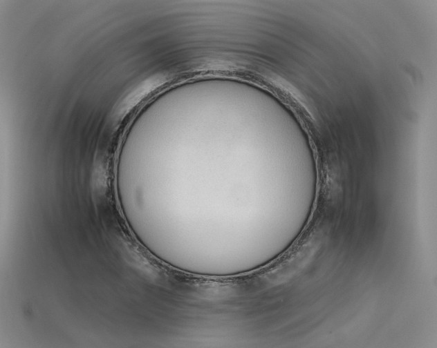 X0000115780874200911131245