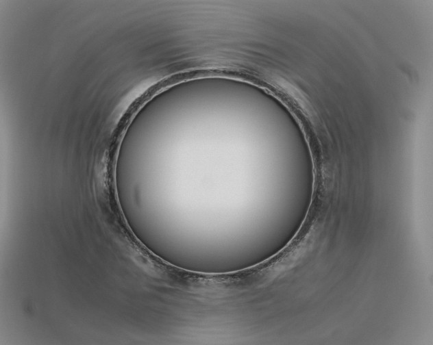X0000115780875200911131245