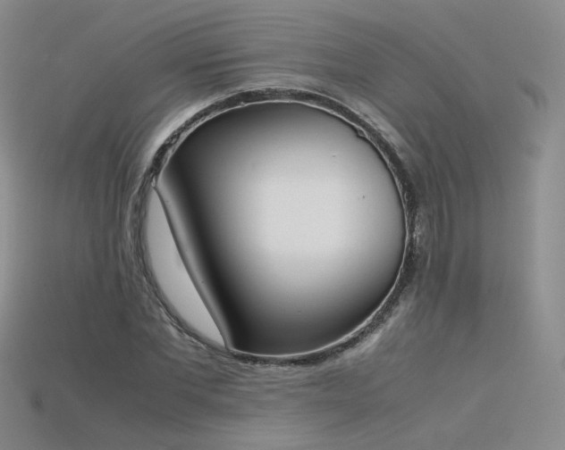 X0000115780877200911131245
