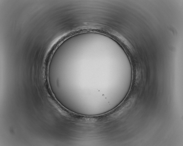 X0000115780878200911131245