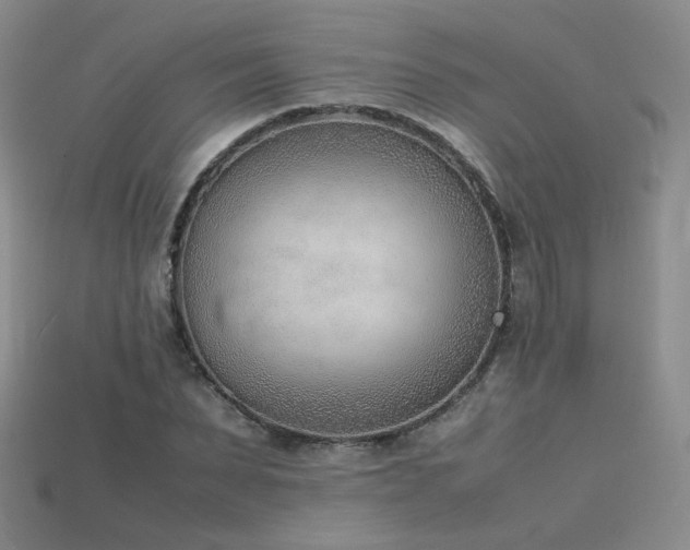 X0000115780879200911131245