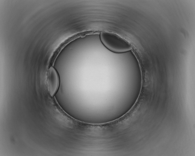 X0000115780880200911131245