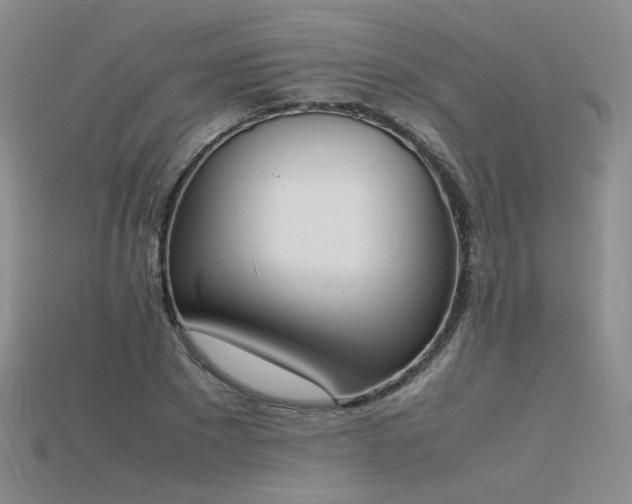 X0000115780881200911131245