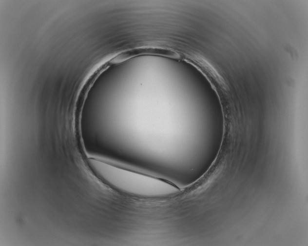 X0000115780884200911131245