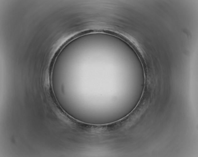 X0000115780887200911131245