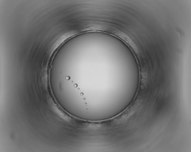 X0000115780890200911131245