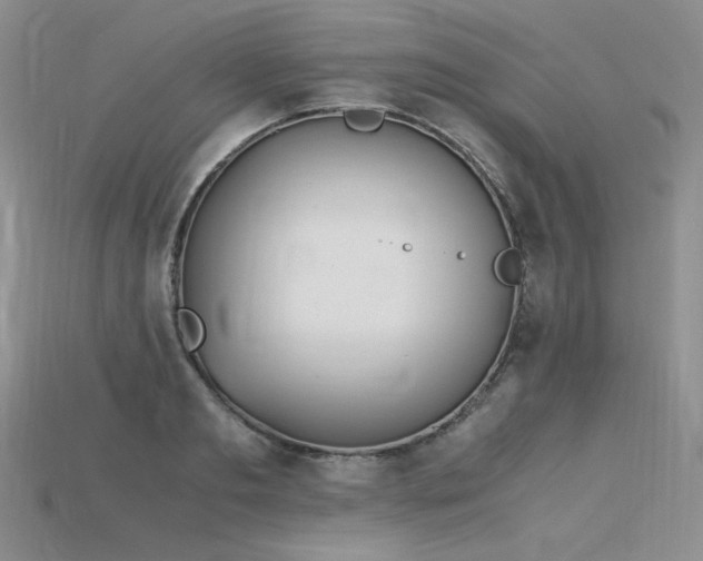 X0000115780893200911131245