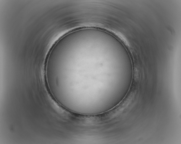 X0000115780895200911131245