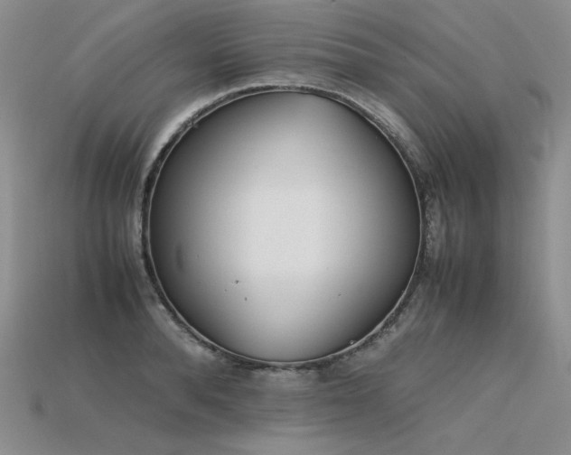 X0000115780896200911131245