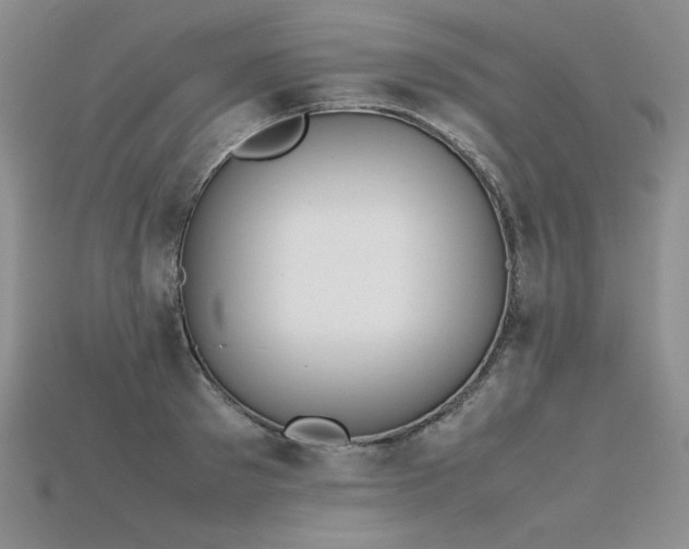 X0000115780897200911131245