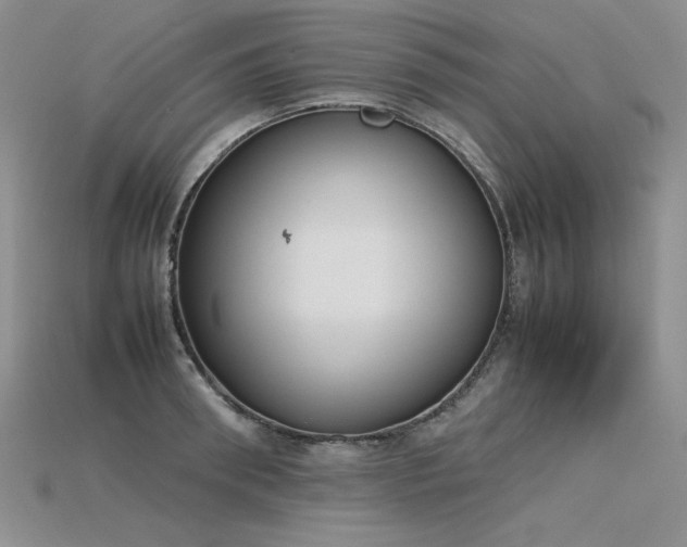X0000115780898200911131245