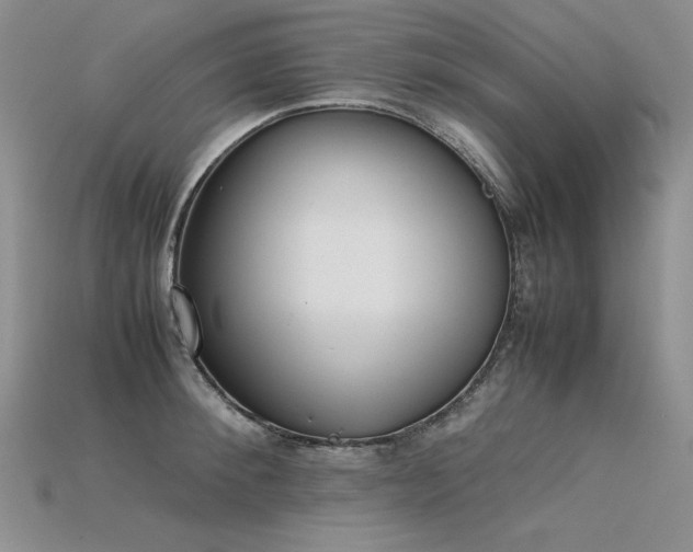 X0000115780900200911131245