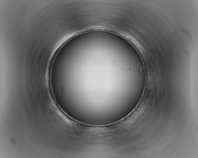 X0000115780902200911131245