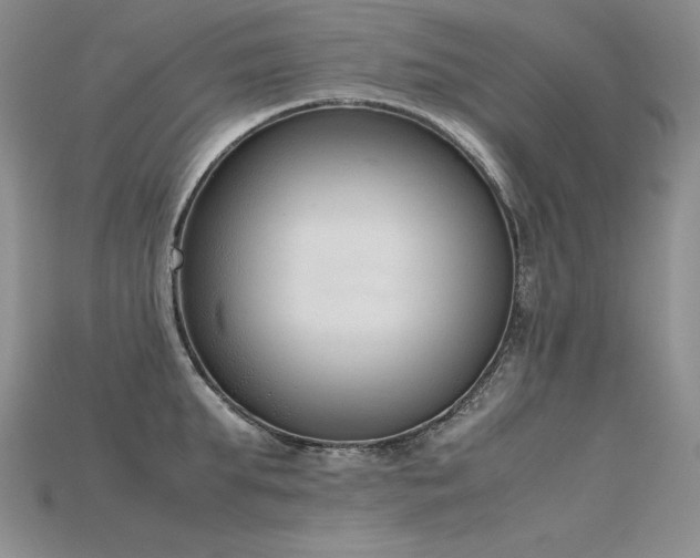 X0000115780903200911131245