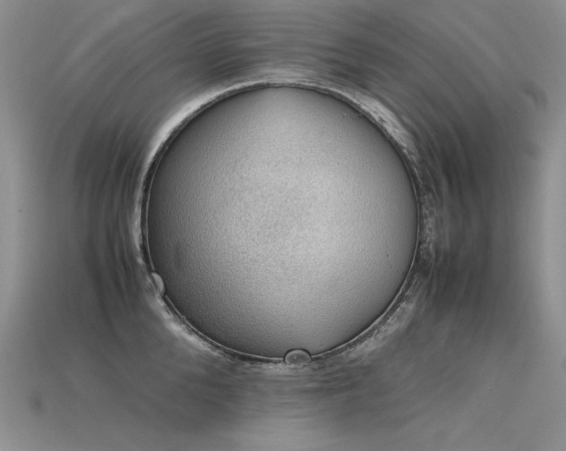 X0000115780904200911131245