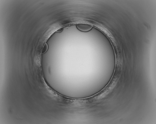 X0000115780905200911131245