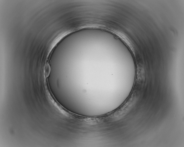 X0000115780906200911131245