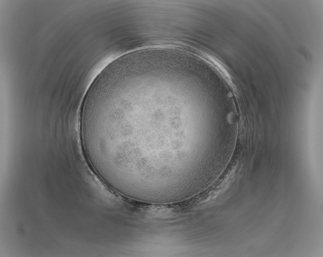 X0000115780907200911131245