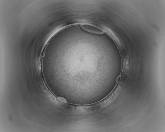 X0000115780908200911131245