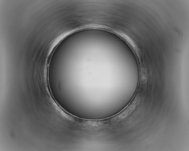 X0000115780910200911131245