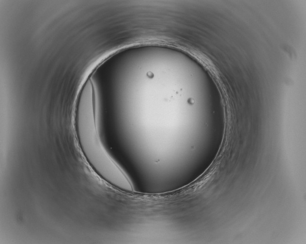 X0000115780912200911131245