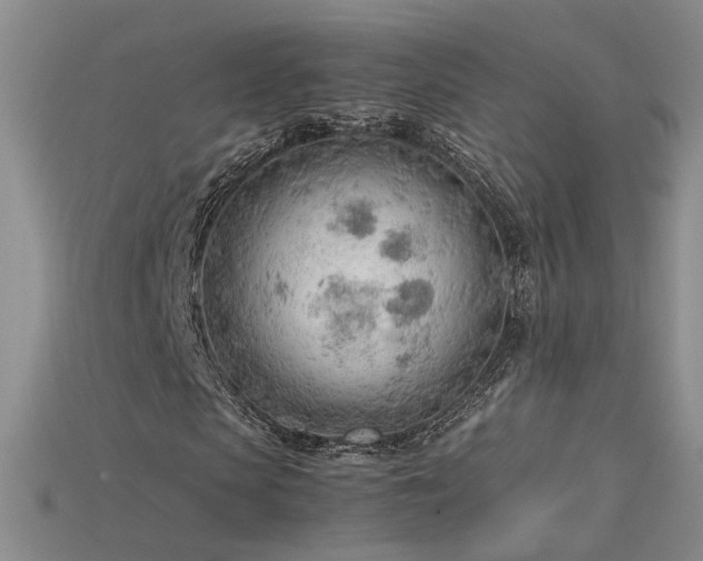X0000115780913200911131244