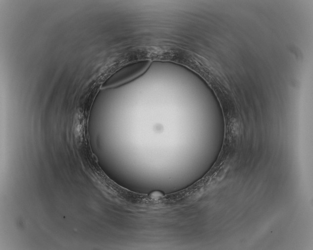 X0000115780914200911131244
