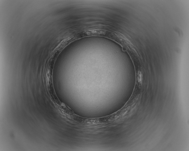 X0000115780915200911131244