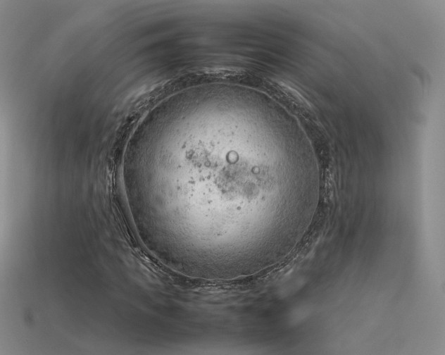 X0000115780917200911131244
