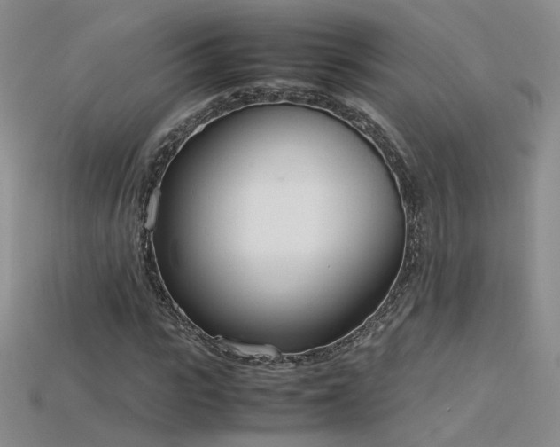 X0000115780919200911131244