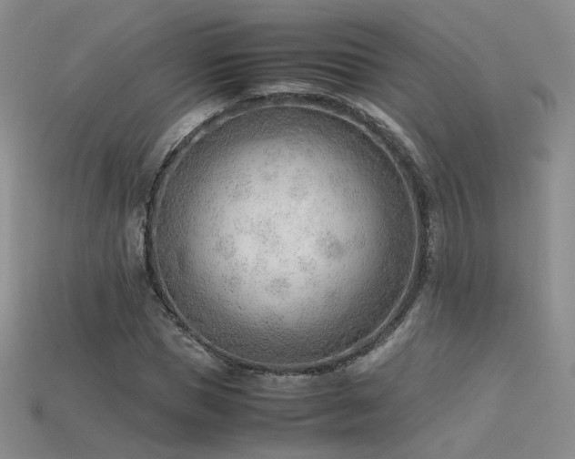 X0000115780921200911131244